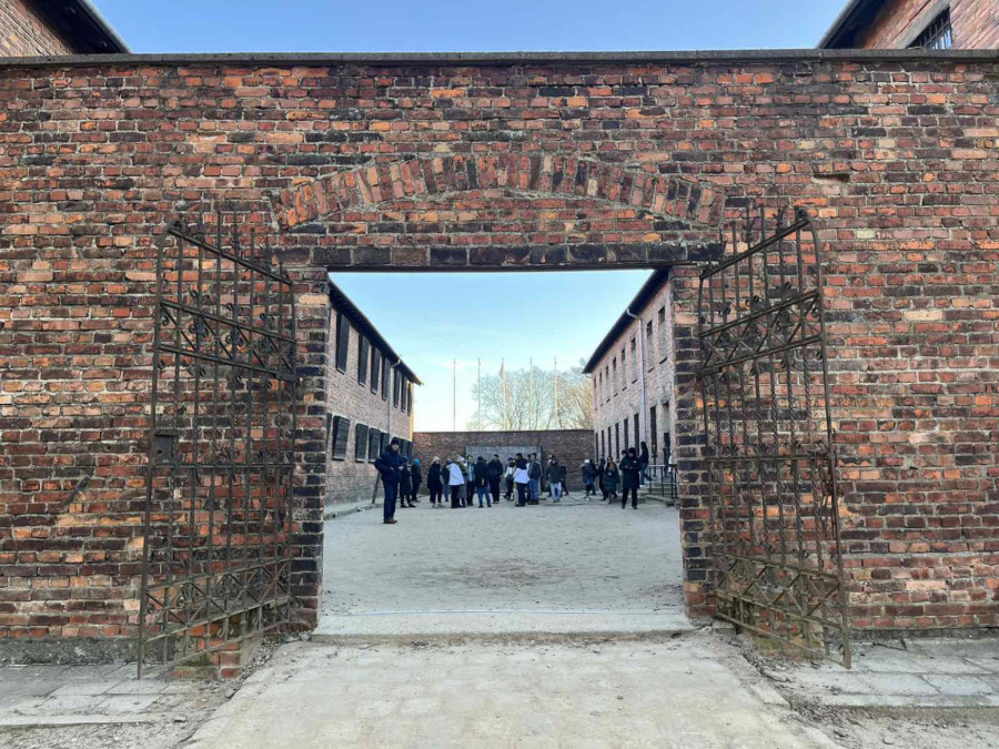 Pilule za kontracepciju – zaostavština nacista iz Aušvica