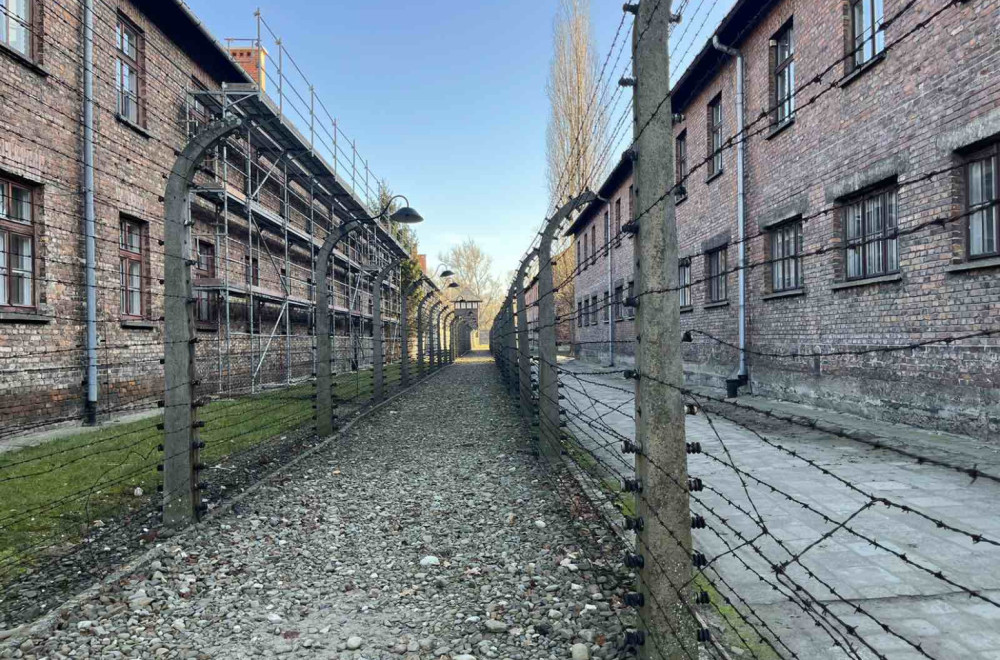 Pilule za kontracepciju – zaostavština nacista iz Aušvica