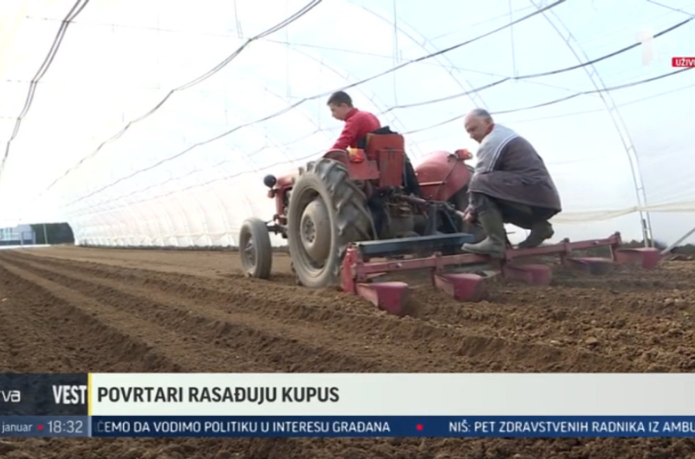 U leskovačkoj kotlini rano povrće na više od 3.000 hektara VIDEO