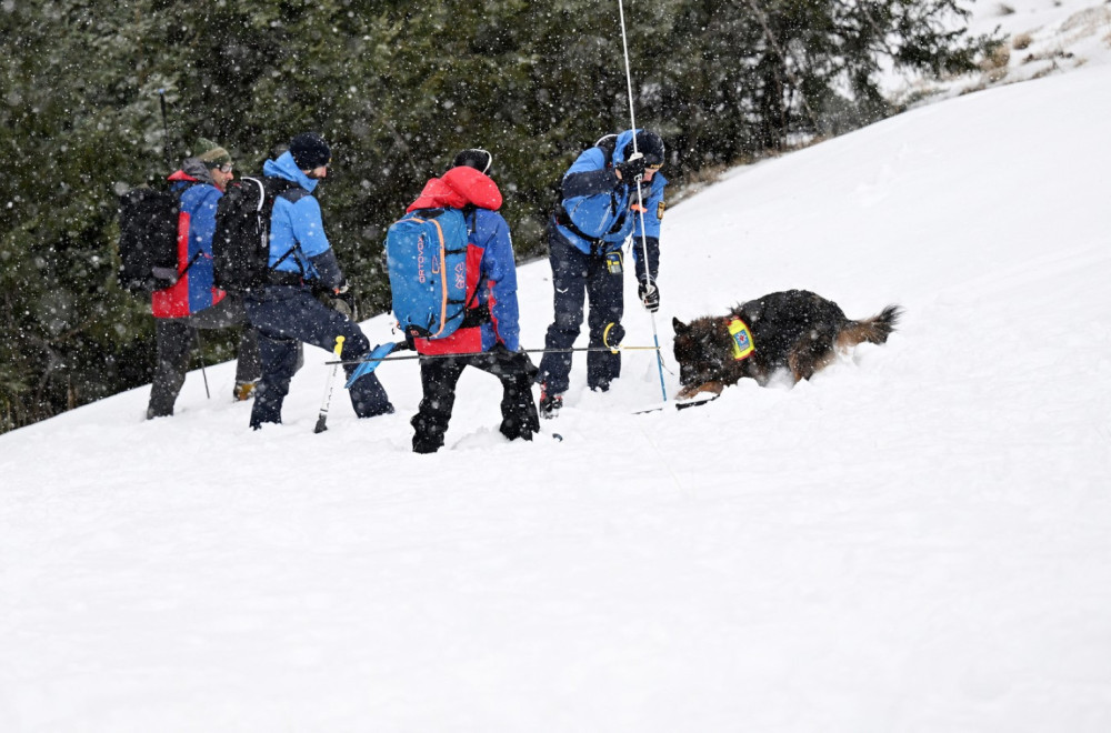 Tragedija: Petoro skijaša poginulo u lavini u francuskim Alpama