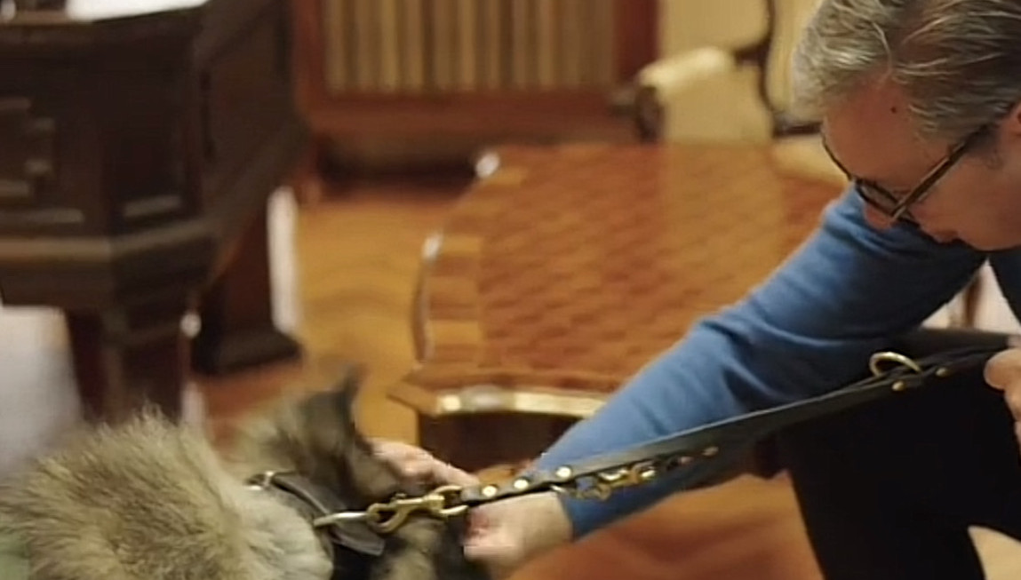 Vučić objavio snimak sa psom: "Upoznajte Paka! On je moj verni čuvar" VIDEO