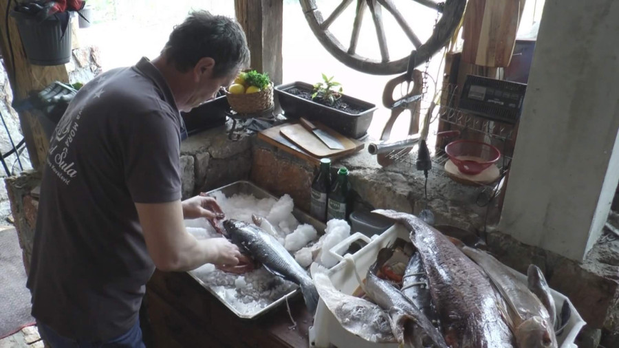 Bivši mornar usred Srbije napravio pravi morski raj, umesto pečenja kod njega se spremaju hobotnice FOTO