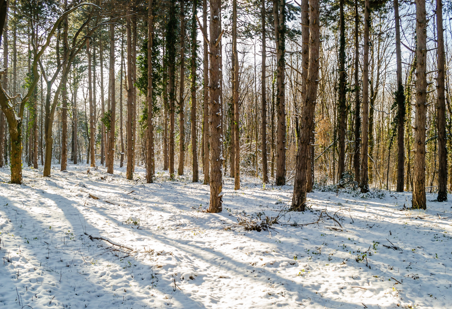 Pet skrivenih bisera Srbije, idealnih za zimovanje FOTO