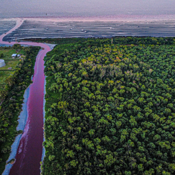 Reka u Argentini "preko noći" postala krvava: Stanovnici preplašeni VIDEO