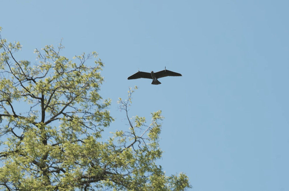 Drama iznad Severnog mora – uočeni sumnjivi dronovi; Osumnjičena: Rusija