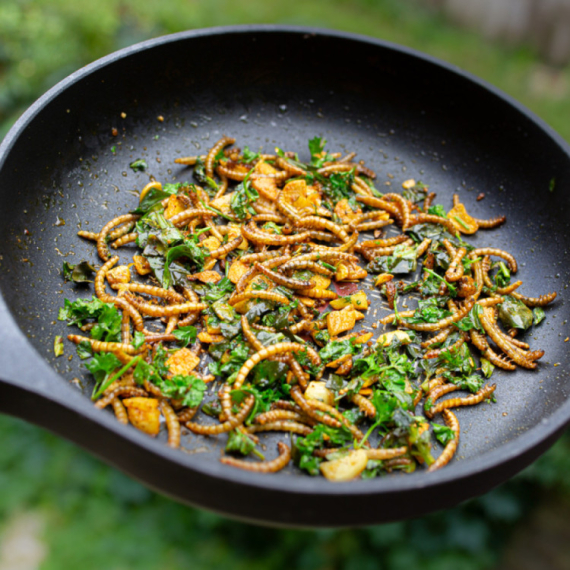 Brašno od crva može da se koristi u ljudskoj ishrani: Rizično za jednu grupu ljudi