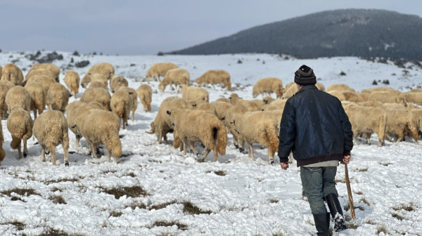 Ukinuta vanredna situacija u Sjenici