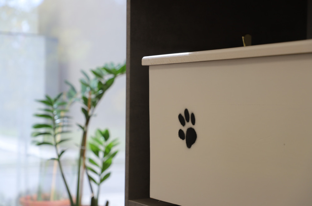 Prvo groblje za kućne ljubimce u Beogradu FOTO/VIDEO