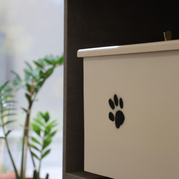 Prvo groblje za kućne ljubimce u Beogradu FOTO/VIDEO