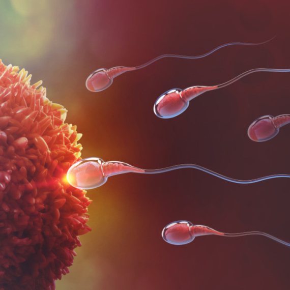 Nova nada za lečenje muškog steriliteta