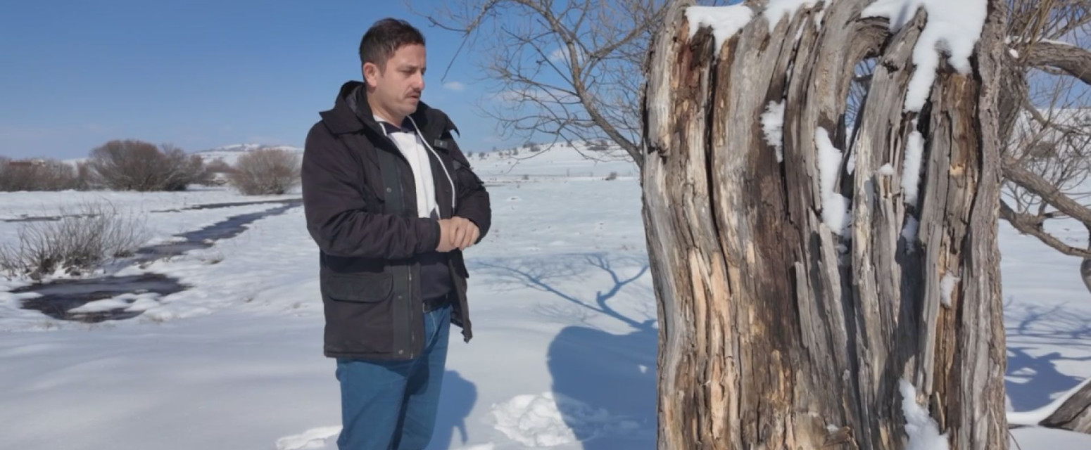 Čuveno "drvo ljubavi" na Pešteru: Mnogi su ovde došli, a potom pronašli svoju srodnu dušu FOTO