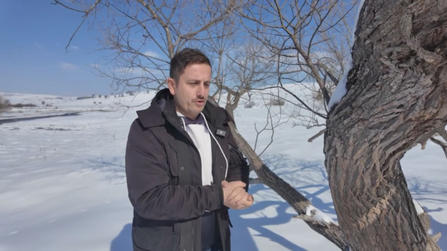 Čuveno drvo ljubavi na Pešteru: Mnogi su ovde došli, a potom pronašli svoju srodnu dušu FOTO