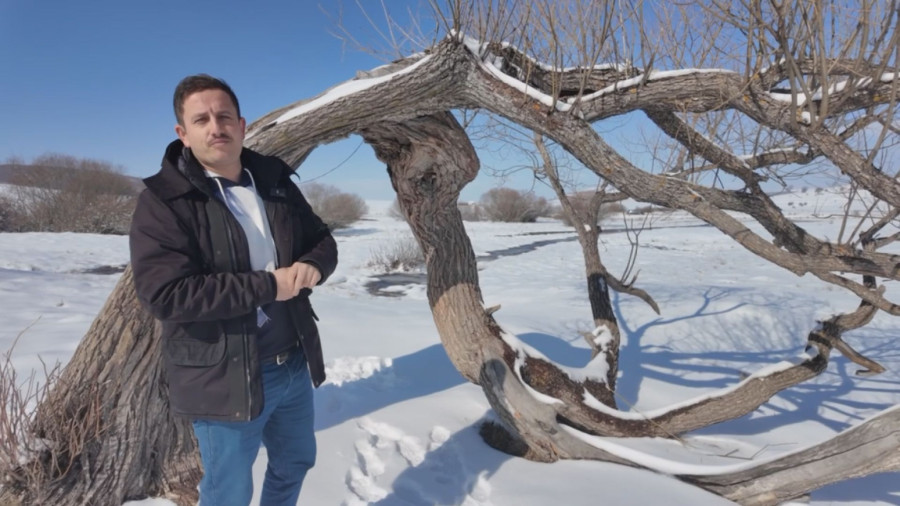 Čuveno drvo ljubavi na Pešteru: Mnogi su ovde došli, a potom pronašli svoju srodnu dušu FOTO