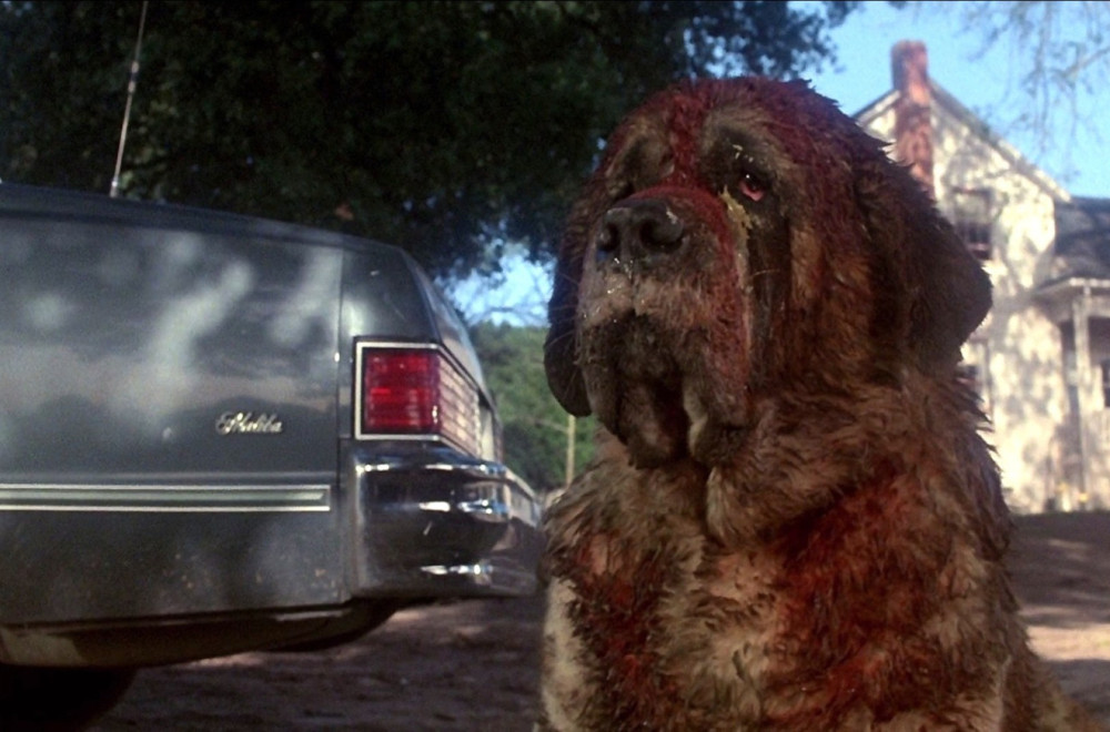 Netfliks radi na rimejku kultnog horora Stivena Kinga iz 1981. godine VIDEO