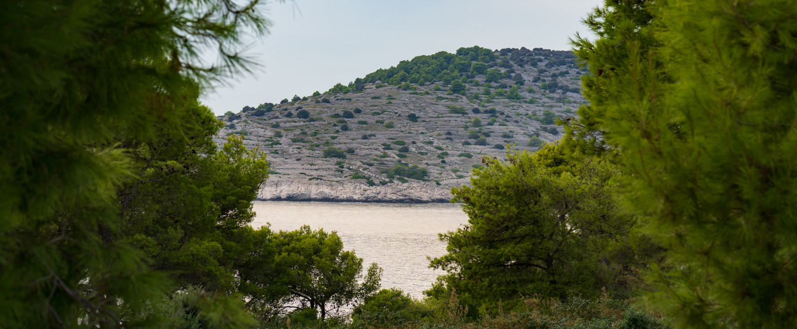 Britanski mediji o hrvatskom ostrvu: "Diznilend za svingere" VIDEO