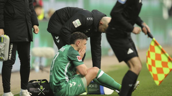 Stojković potvrdio – štoper "otpao" za Austriju: "Preveliki je rizik"