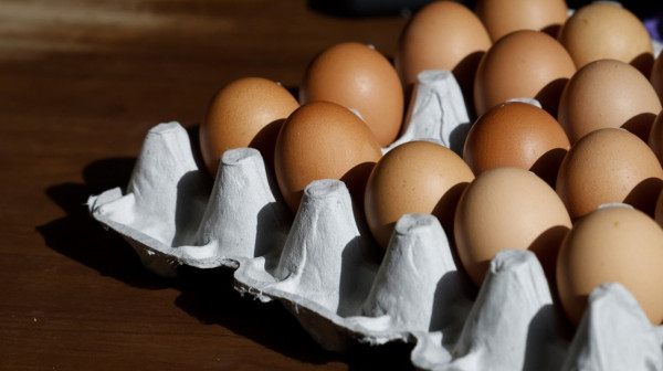U Srbiji se godišnje proizvede 1,57 milijardi jaja – kako posluje živinarski sektor?