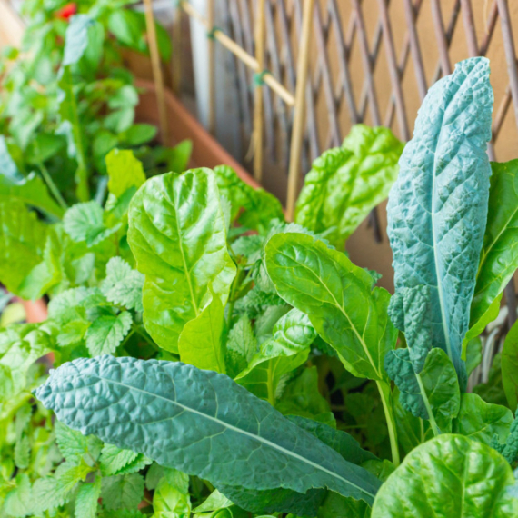 Magnezijum je esencijalni mineral, povećajte njegov unos konzumiranjem ove hrane FOTO