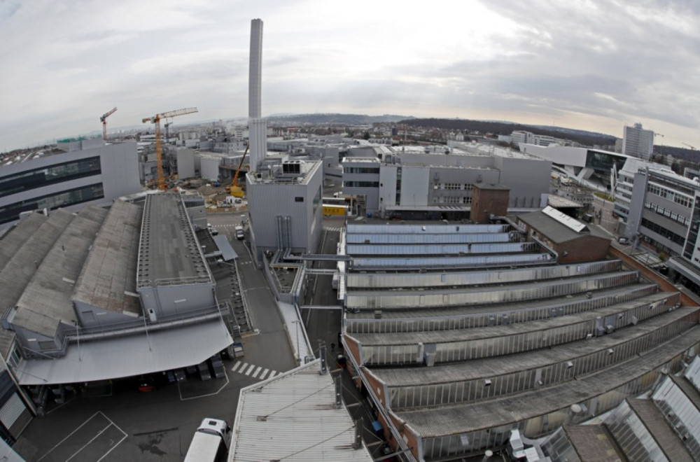 Većinski vlasnici vodećih nemačkih kompanija su – stranci