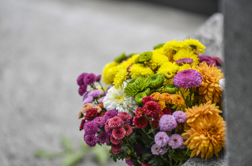 Govor cveća: Margareta - simbol čistote i nevinosti, ponovnog rođenja i večnog života