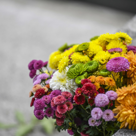 Govor cveća: Margareta - simbol čistote i nevinosti, ponovnog rođenja i večnog života