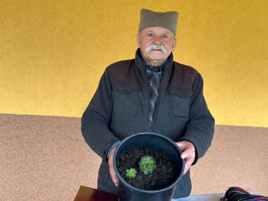 Ovu biljku smatraju čudom prirode: Leči i žene i muškarce