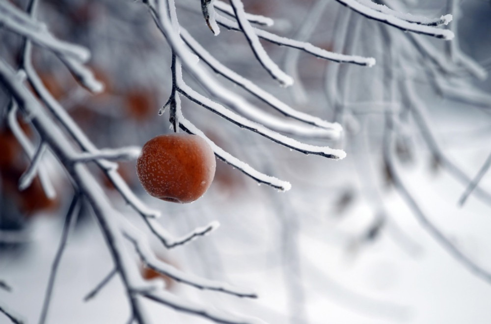 Pale se svi alarmi: Stiže hladni talas