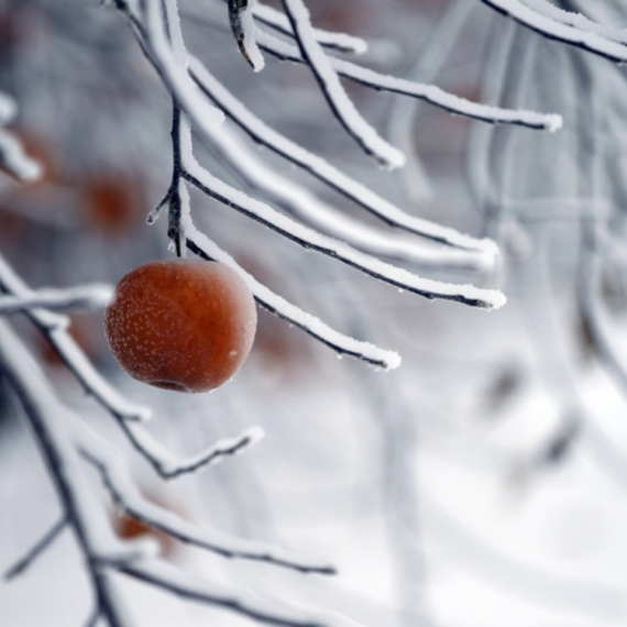 Pale se svi alarmi: Stiže hladni talas