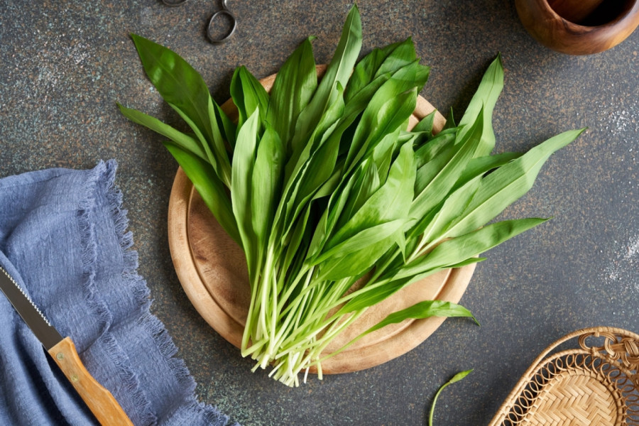 Najzdravija biljka proleća: Prirodni čistač organizma i ubica otrova