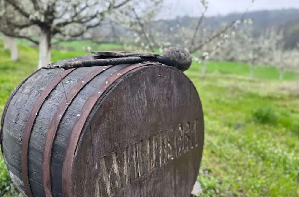 Minići imaju nepregledne zasade i šljivik za ponos FOTO