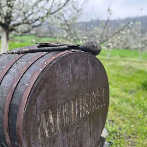 Minići imaju nepregledne zasade i šljivik za ponos FOTO