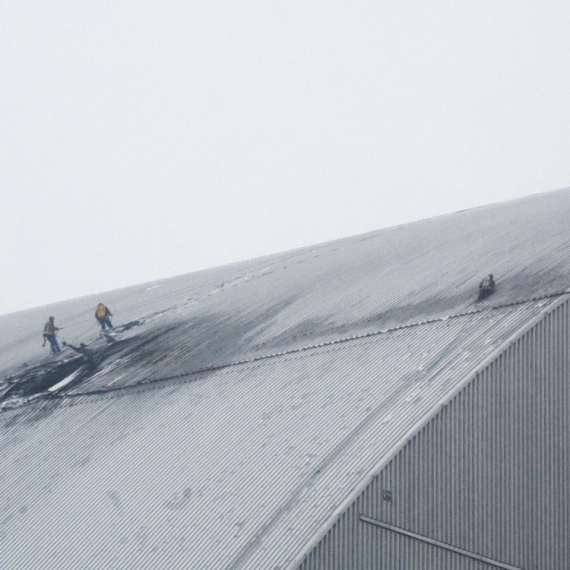 "Curi" iz Černobilja