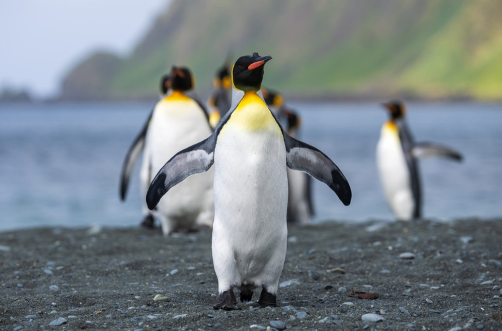 Na sve i za sve – nema šale: Šta je to Tramp zapravo uradio?