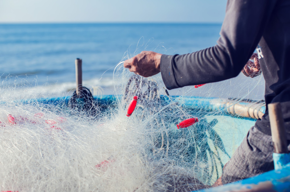 Ribar u Hrvatskoj snimio neverovatan prizor: "Nikad pre nisam video ovako nešto" VIDEO