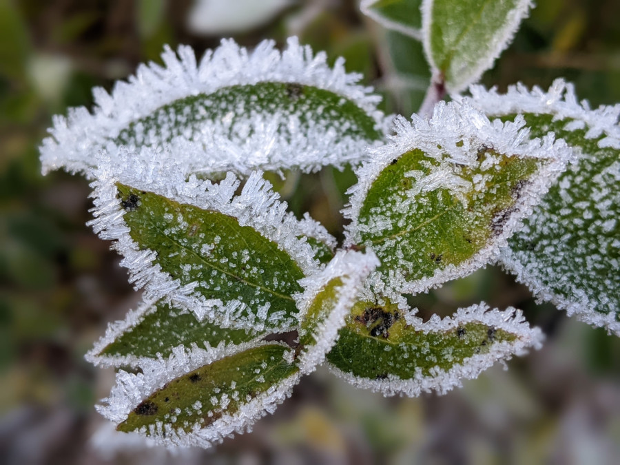 Srbijo, spremi se za ledene dane; Evo koliko će ih biti...
