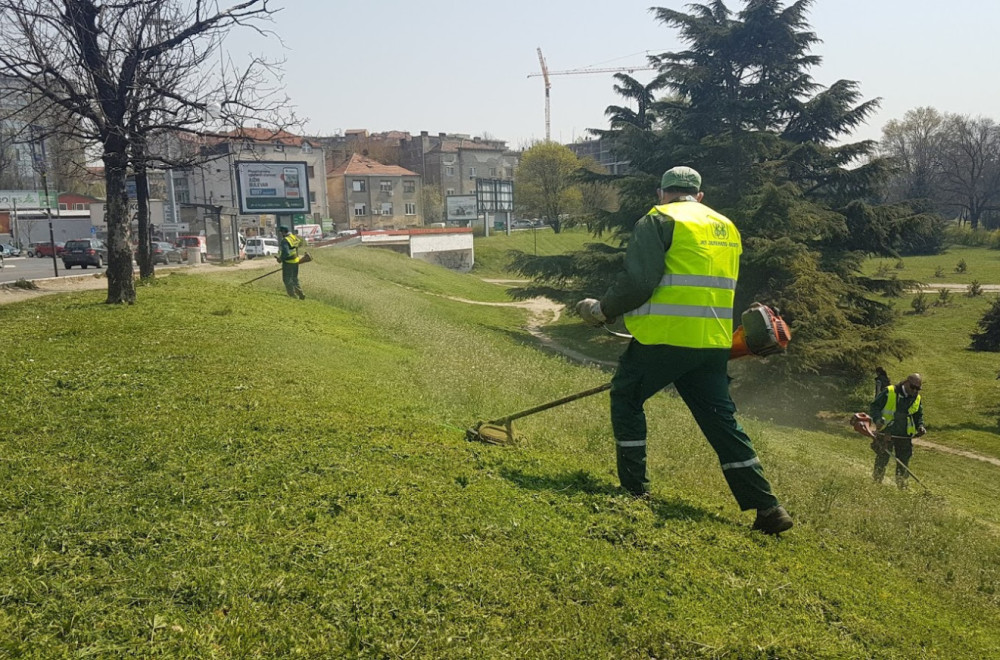 Sezona je počela: Da li se isplati da sami kosite