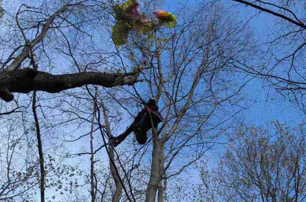 Pilot paraglajdera ostao zaglavljen u krošnji; Gorska služba pritekla u pomoć FOTO