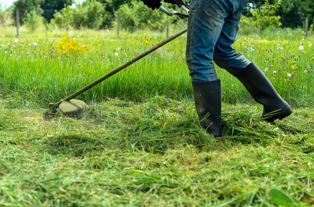 Sezona je počela: Da li se isplati da sami kosite