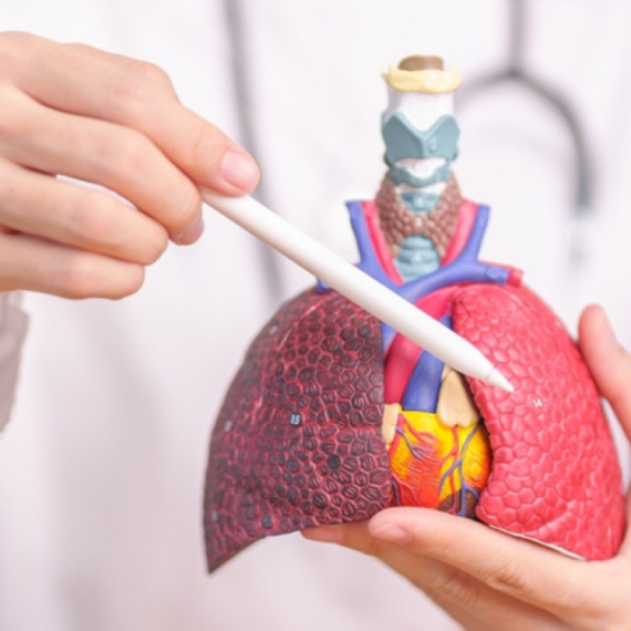 Lekari došli do otkrića koje menja sve: Aorta je drugo srce