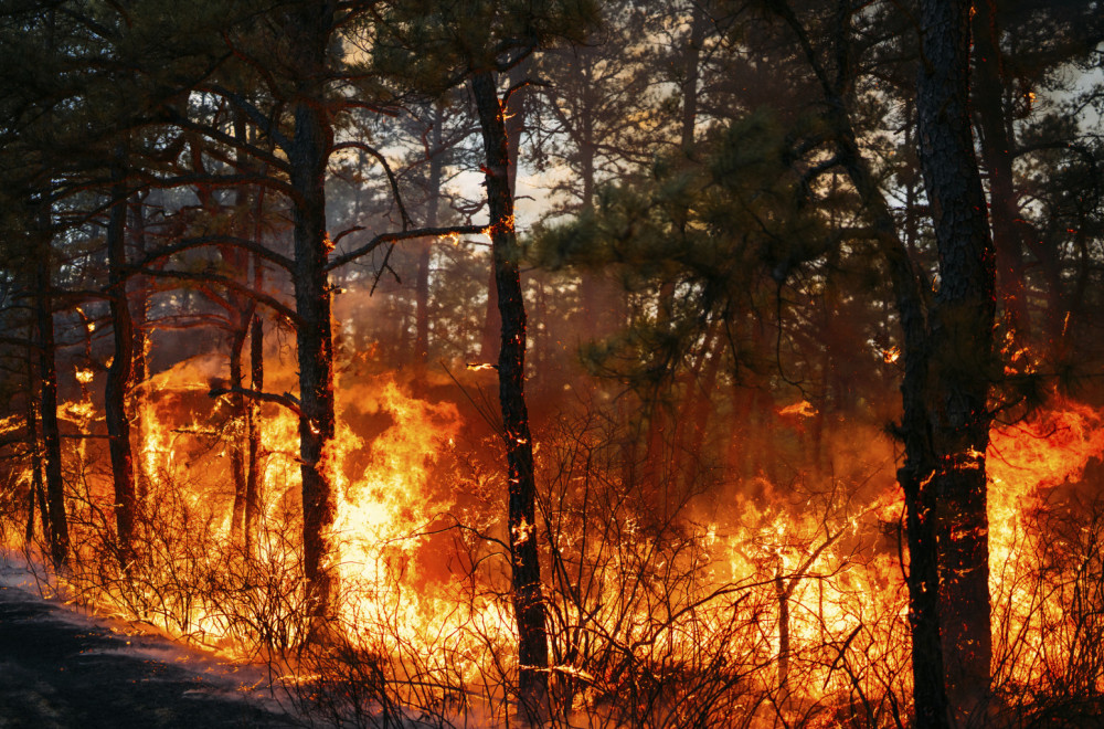 Ogroman šumski požar bukti u Italiji VIDEO
