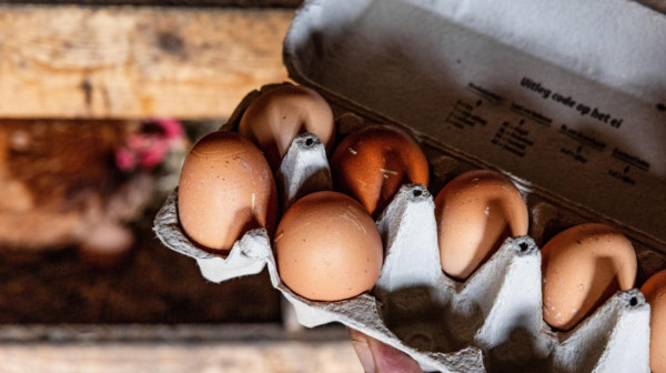 Da li su jaja sa malom pukotinom bezbedna za upotrebu?