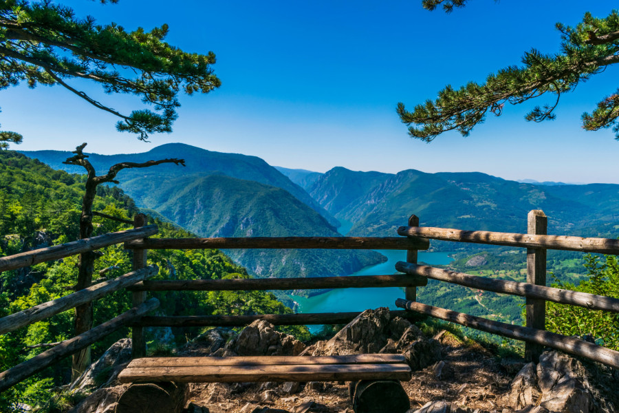 Obeleženo 150 godina od otkrića Pančićeve omorike; Sara Pavkov: Očuvati prelepo područje