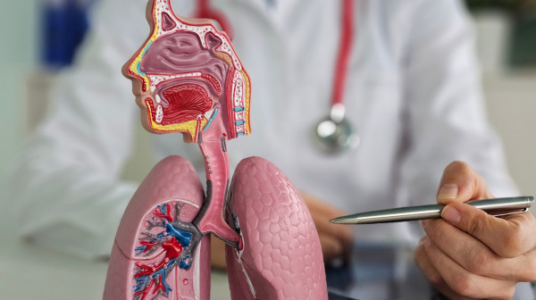 Hronična opstruktivna bolest pluća: Tiha pretnja koju većina otkrije prekasno