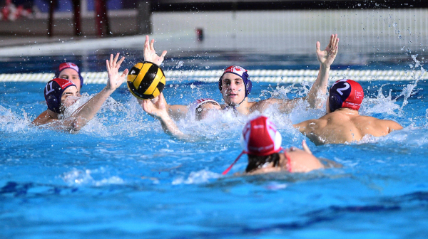 Zvezda deklasirana – Radnički u finalu