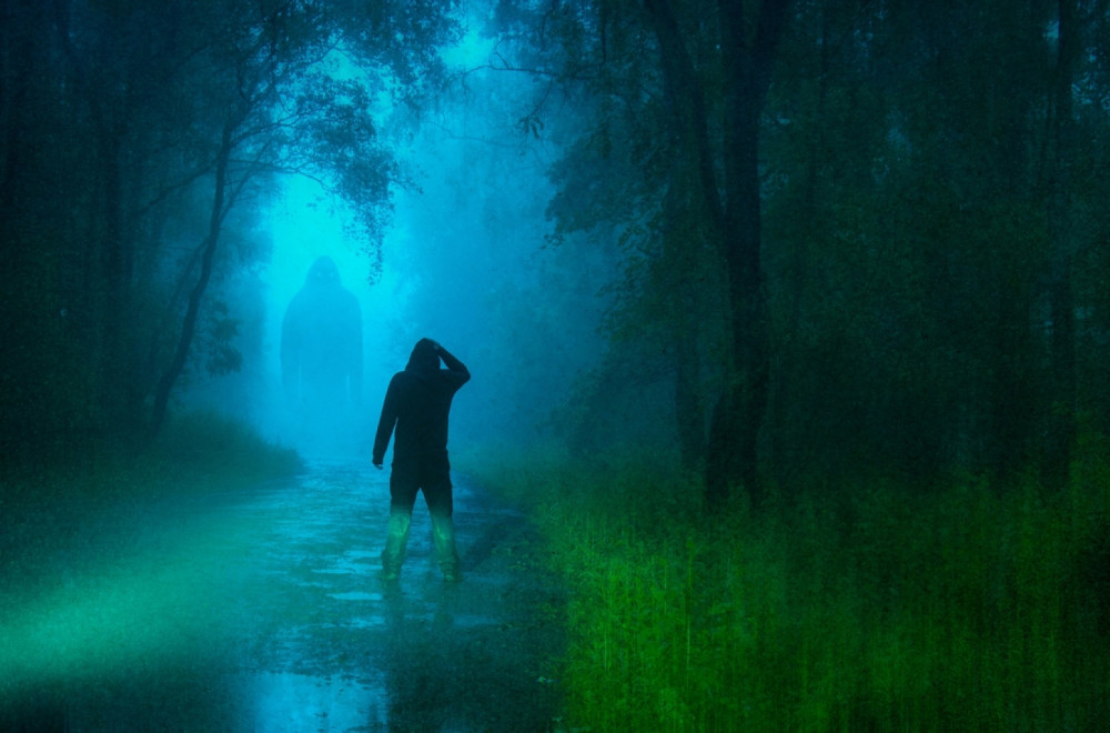 Princ je video Bigfuta: I kraljica Elizabeta je verovala da zver postoji FOTO