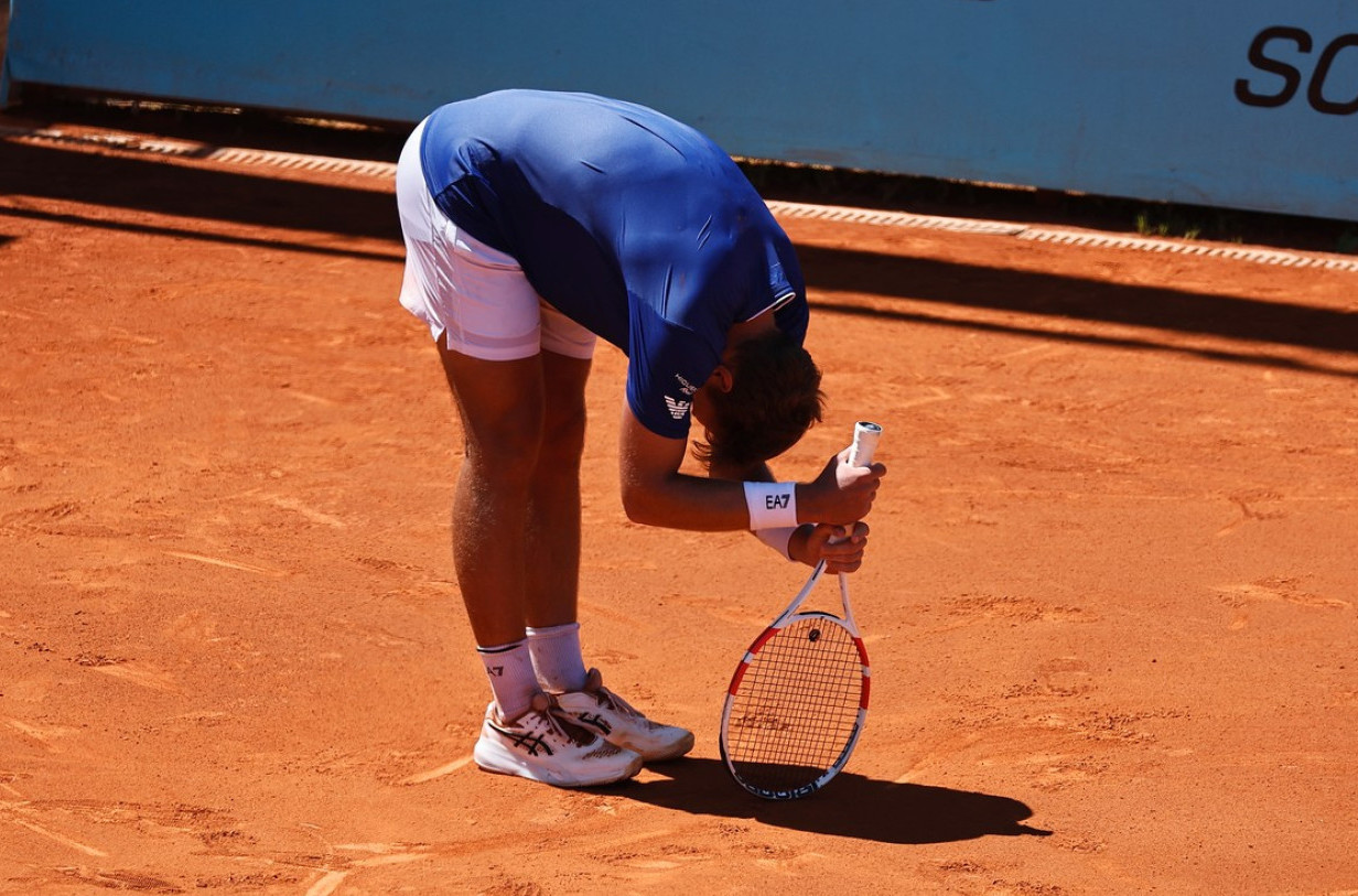 Podatak o Hamadu koji je sve iznenadio