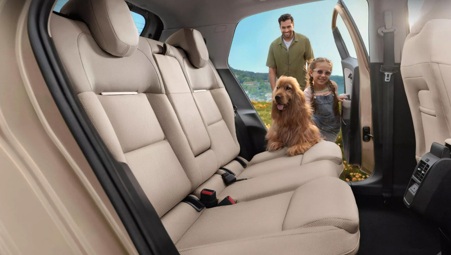 Dajte ga ovamo! Tatin jeftini hečbek je indijska privilegija FOTO