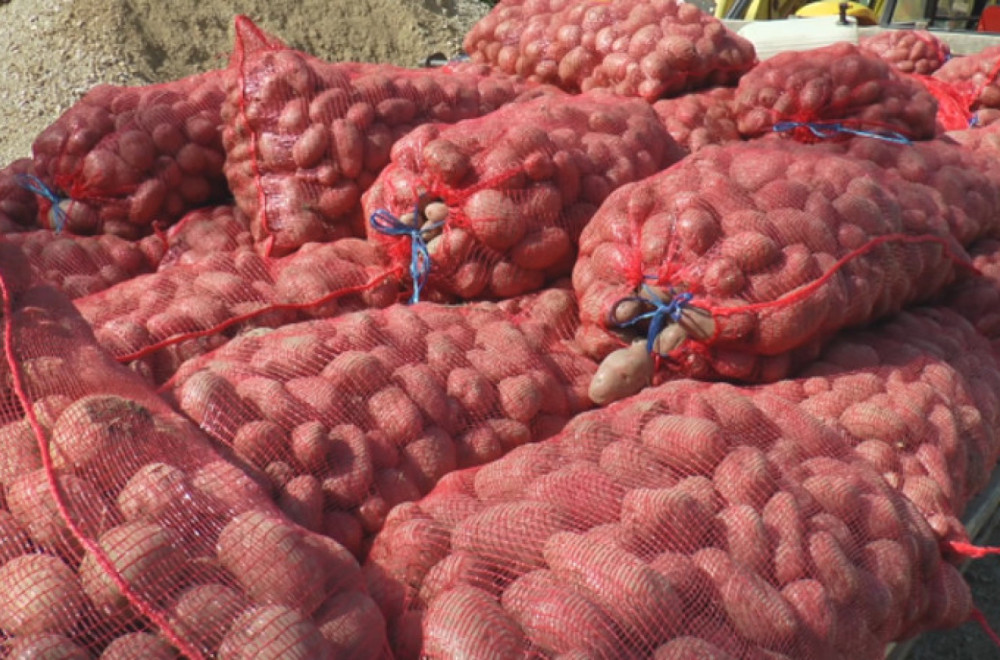 U čačanski kraj ga doneli kaluđeri: Guča je prestonica krompira