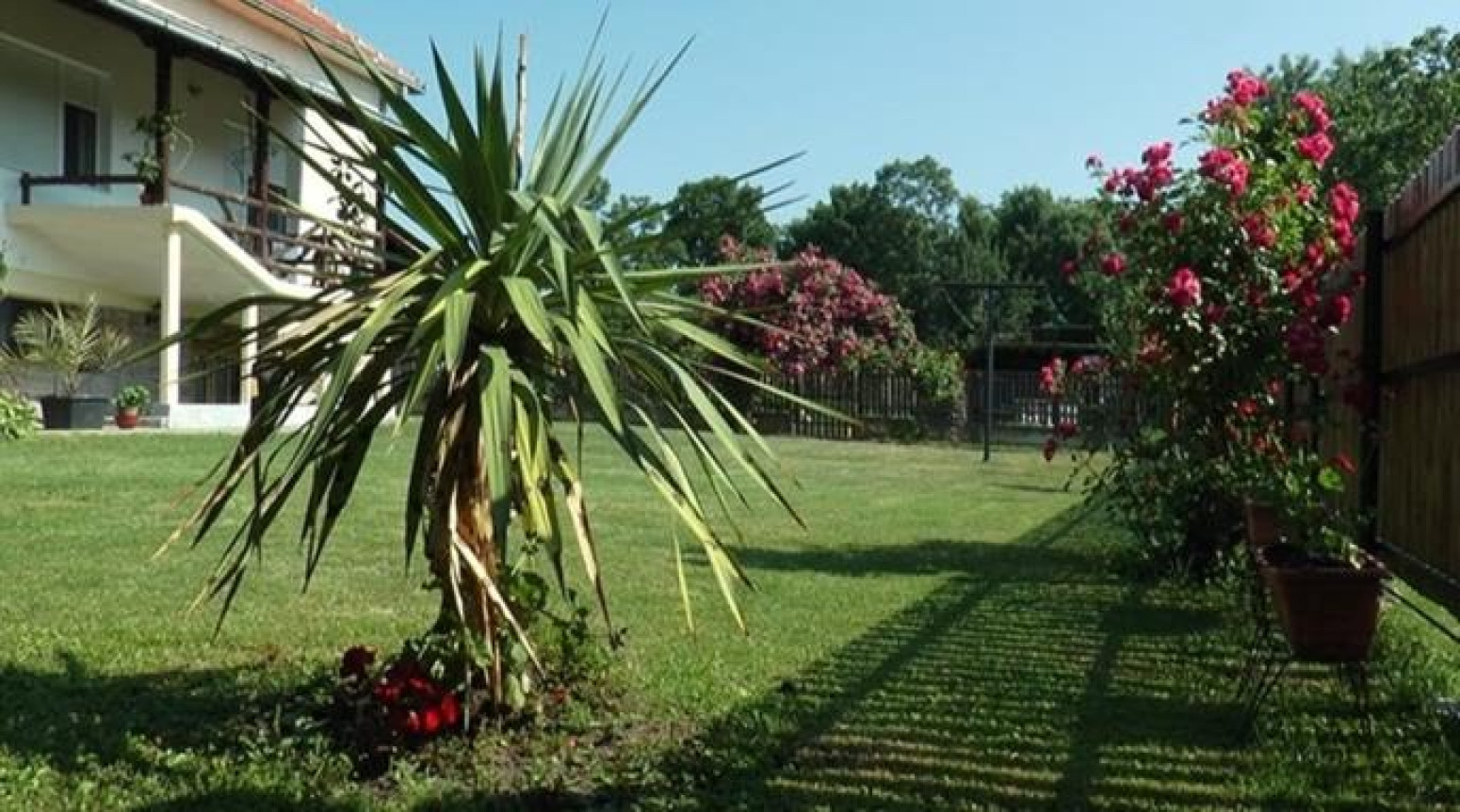 U ovoj bašti ima preko 1.000 najlepših cvetova: Verica sa svojih deset prstiju napravila raj FOTO