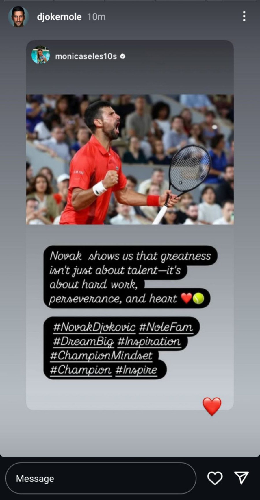 Monika Seleš se javila zbog Đokovića: Novak nam pokazuje... FOTO